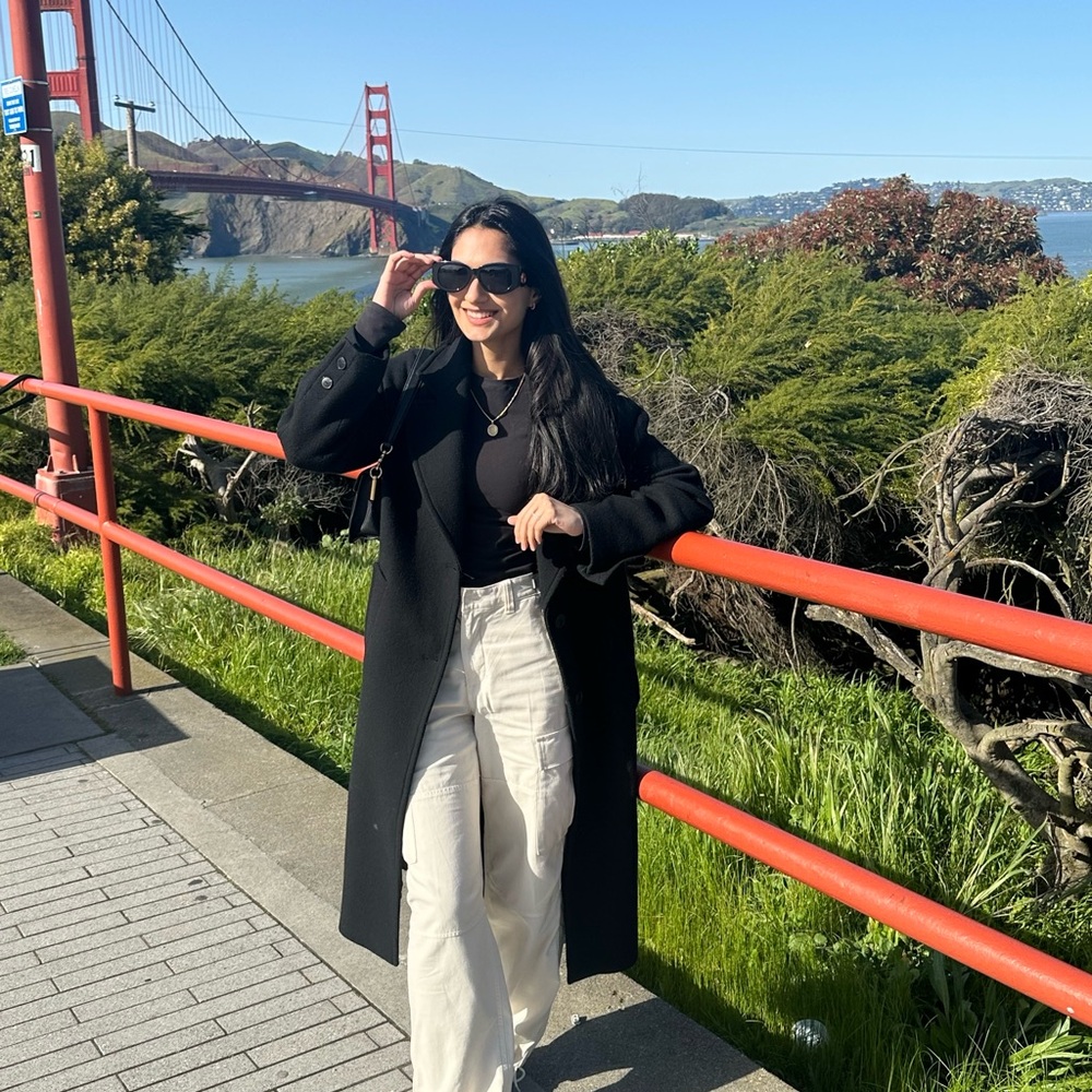 Aritzia Supply Cargo Pant